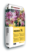 ORQUÍDEAS 