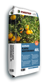 PLANTAS MEDITERRÁNEAS