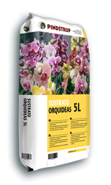 ORQUÍDEAS 