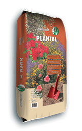 Plantal